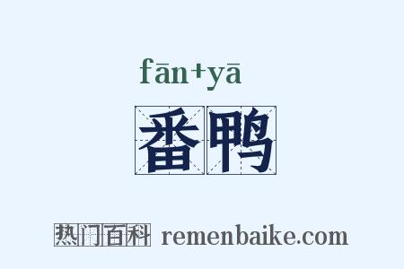 番鸭是什么意思的图片
